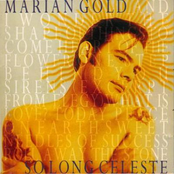 Sweet Needles Of Success by Marian Gold