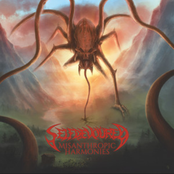 Misanthropic Harmonies