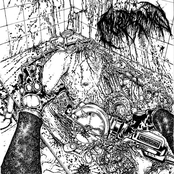 Body Disposal Expert (Single)