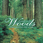 A Walk in the Woods: Relaxing Piano and Strings