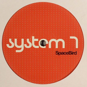 Space Bird (dubfire Deep Space Remix) by System 7