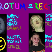 skrotum och rectum