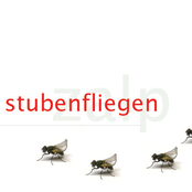 stubenfliegen ep