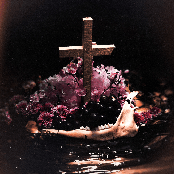 If You Do Not Fear Me...