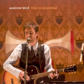 Cannonade by Andrew Bird