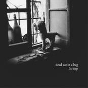 Lost Bags