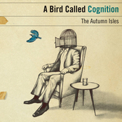 A Bird Called Cognition