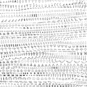 Echo Transformations