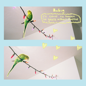 I’ll Count To Heaven In Years Without Seasons