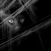 The Light Is Ours EP