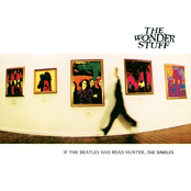 It's Not True by The Wonder Stuff