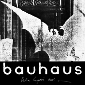 Bela Lugosi's Dead