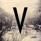 Vampire by Lark