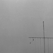 Split with Pathogenesis