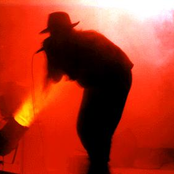 IndusTree - What it was like when it was like, you know...