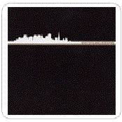 Wasted Skylines