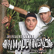 Mint A Filmeken by Animal Cannibals