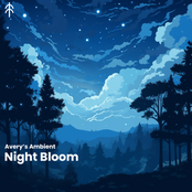 Night Bloom