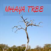 nihaya tree