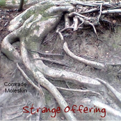 Strange Offering