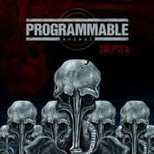 Sea Of Drepsea by Programmable Animal