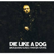 Die Like A Dog Quartet: Complete Fmp Recordings