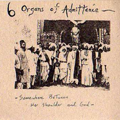 Dead Flowers by Six Organs Of Admittance