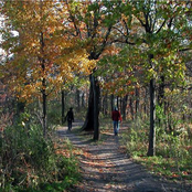 Dawn Breaks on Kingsville