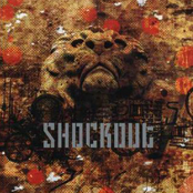 Shockout