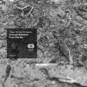 A Secret Withdrew From The Sky Laying In-Between That Portrait Of The Moon After A Formal Feeling Where Hope Is The Wing With Feather Blowing Life To Some