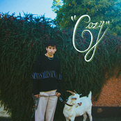 Cozy