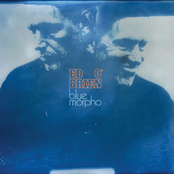 Ed O'Brien: Blue Morpho