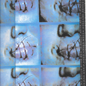 I Like It When You Keep Your Mouth Shut For Me - Single