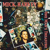 Will You Surrender? by Mick Harvey