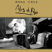 Ales Et Feles