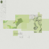 inssekt (-1)