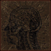 Dead Brain System