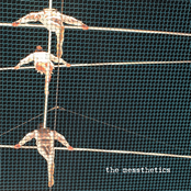 The Messthetics: The Messthetics