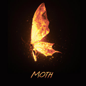 Moth