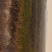 Traversing Timelines