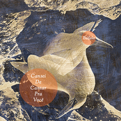 Cansei de Cantar Pra Você