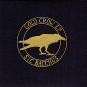 Gold Crow EP