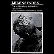 Die Vollendete Schцnheit