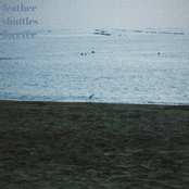 feather shuttles forever