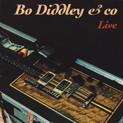 Bad Dad by Bo Diddley