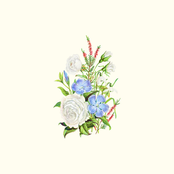 Etude of clair
