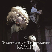 Sacrifice Of Allegro by Kamijo
