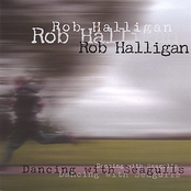 The Birds Are Still Singing by Rob Halligan