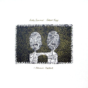 In The Cloud Forest by Andy Summers & Robert Fripp