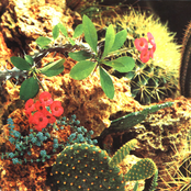 Just To Thing! single